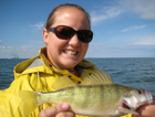 13 inch perch caught charter fishing with DownDay Charters, Lake Erie, Monroe, Michigan