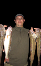 Walleye caught on evening charter trip with DownDay Charters, LAke Erie, Monroe, Michigan