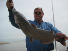 Catfish caught charter fishing lake Erie