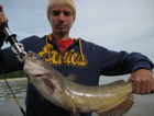 Catfish caught Charter fishing Lake Erie with DownDay Charters